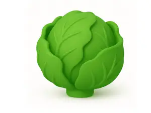 Salad (cabbage)