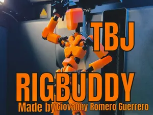 TBJ RigBuddy