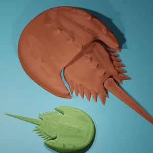 Articulated Horseshoe Crab