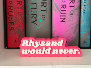 Rhysand Would Never Bookshelf Sign