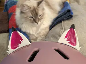 Helmet (or headphones) Cat Ears
