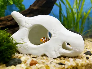 卡拉卡拉头骨躲避屋