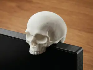 Monitor Skull