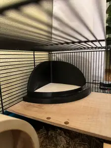 Hamster bath