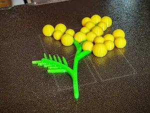 Mimosa