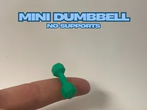 Mini Dumbbell - No Supports