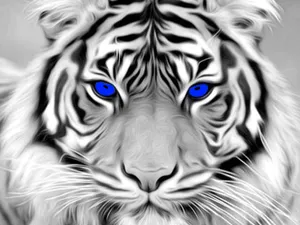 Siberian Tiger Hueforge