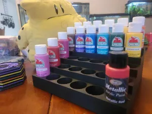 Paint Bottle Organizer, 30 count