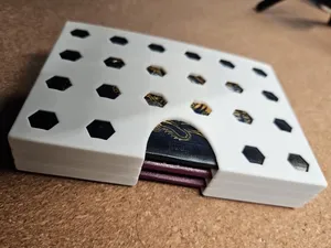 Multi-slot passport holder