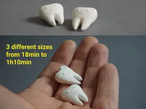 Tooth with smiling face (from 18min, sizes vary)