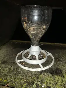bird feeder