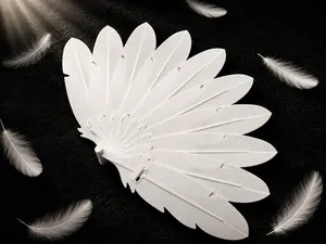 Realistic Feather Folding Fan