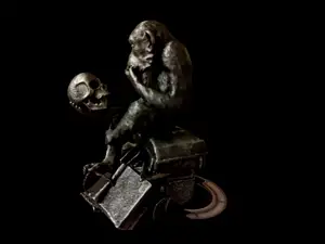 Monkey with Skull from Scan the World