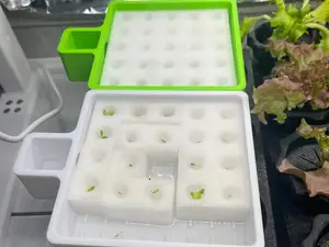 Growbox/Anzuchtsstation