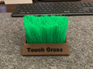 Touch Grass