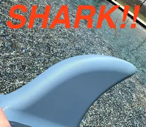 Shark Fin Pool Toy