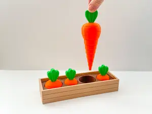 Carrot Garden