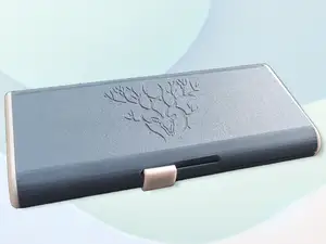 Insuline Pen and Needles case