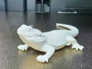 Realistic Bearded Dragon – Detailed Lizard