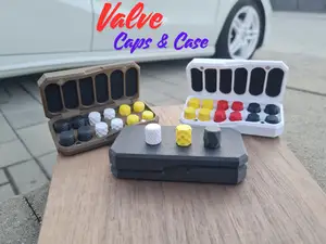 Valve Stem Cap Set & Elegant Storage Box