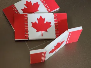 Canada Day themed toy: Canadian Flag Articulated