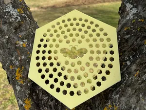 Insekten Schwimmhilfe Bienen