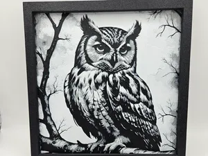 HIBOU