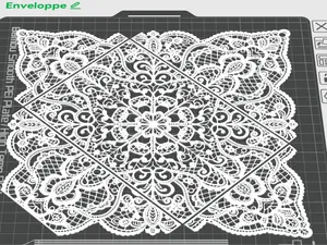 Enveloppe élégante en Dentelle sur Tulle Étiquette
