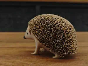 一只小刺猬