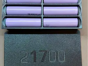 21700 Holder