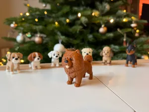 Chow Chow