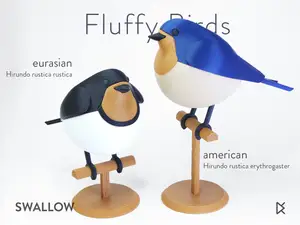 Swallow - Fluffy Birds