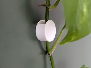 Wall Plant Clip