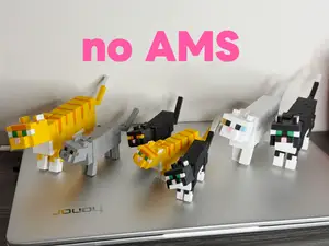 我的世界 猫 no AMS
