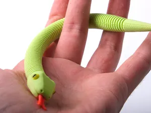 Green Snake Flexi Slinky Toy