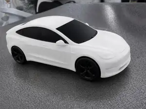Tesla Model 3/Y