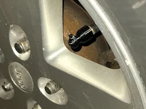 Threaded Duck Head Tire Valve Cap