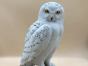 Glacier Guardian Snowy Owl on a Stump