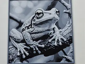 Realistic Tree Frog - 3D Wall Art & Easy