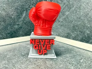 NEVER GIVE UP