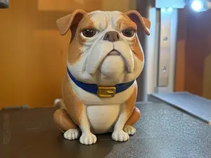 Pug