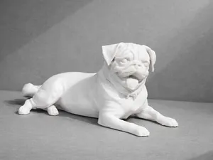 Lying Pug Dog - Animal