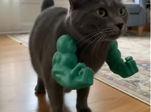 Hulk Arms Cat