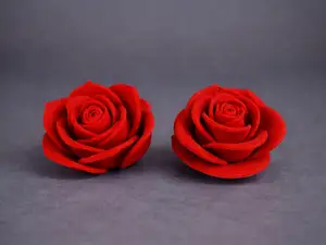 Valentine’s Rose