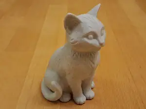 Sitting Young Cat