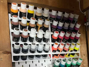 Skadis Acrylic Paint Bottle Holder Rack Mount (20)
