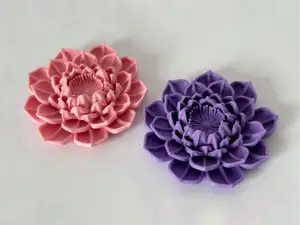 Lotus Flower