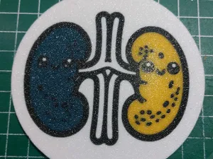 Cute Anatomical Kidneys - Coasters / Posavasos