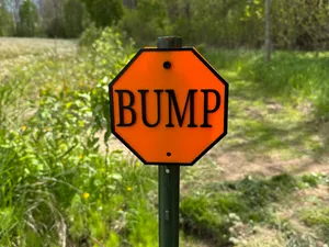 Bump Sign Trail Sign