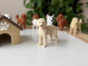 Goldendoodle